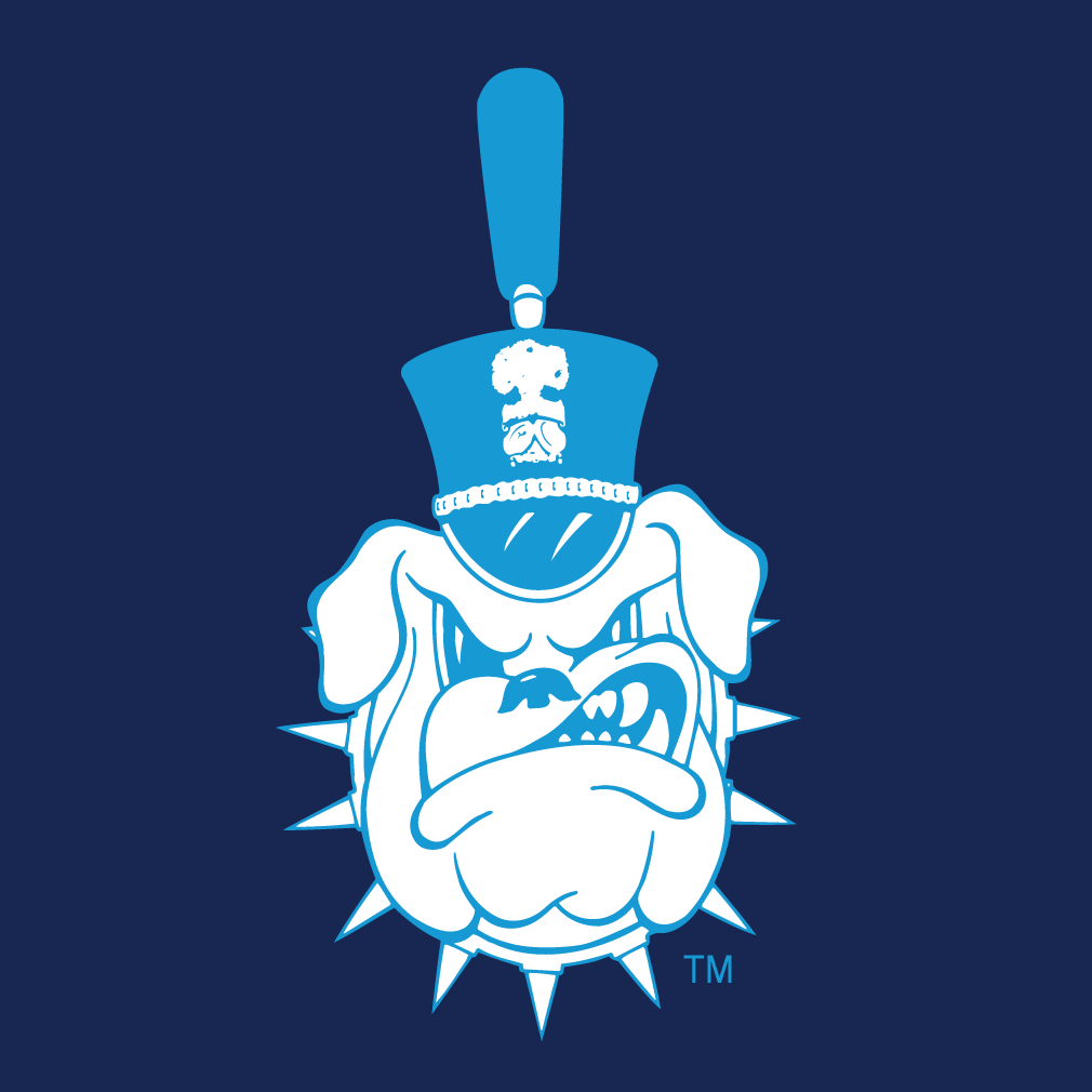 The Citadel Bulldogs 0-Pres Alternate Logo diy DTF decal sticker